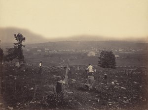 Waymart, Del. & Hudson Canal Co. 1863-1865.