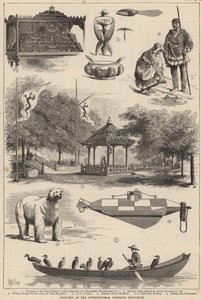 Szkice na Międzynarodowej Wystawie Rybołówstwa autorstwa Thomas Harrington Wilson