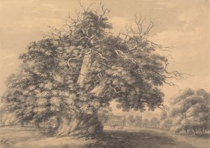 polish autorstwa Thomas Hearne