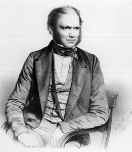 Karol Darwin, 1849