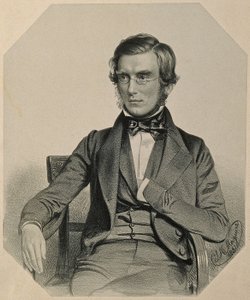 Portret Sir Josepha Daltona Hookera, 1851