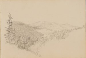 Goździk Kauterskill ze Szkicownika krajobrazu i tematyki zwierzęcej, ca. 1860-64. autorstwa Thomas Hewes Hinckley