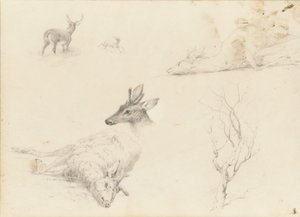 Szkicownik krajobrazu i tematyki zwierzęcej, 1860-64. autorstwa Thomas Hewes Hinckley