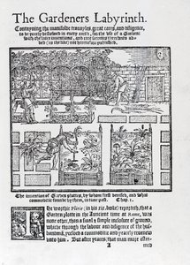 Altana zbudowana jako cień przed słońcem i sadzenie w podwyższonych grządkach, z Labiryntu Ogrodników, 1577 autorstwa Thomas Hill
