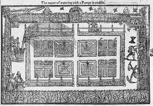 Sposób podlewania pompą w tubie, z Labiryntu Ogrodnika, 1577 autorstwa Thomas Hill