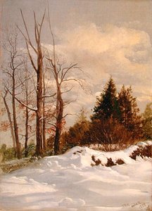 Zimowy krajobraz Catskill