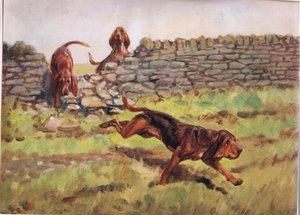 Over the Wall, ilustracja z „Ogarów”