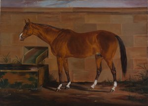 Portret Lexington autorstwa Thomas J. Scott