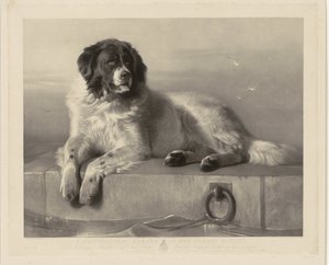 Portret psa ratowniczego Boba, leżącego na molo Zasłużony Członek Towarzystwa Humanitarnego (tytuł na obiekcie) autorstwa Thomas Landseer