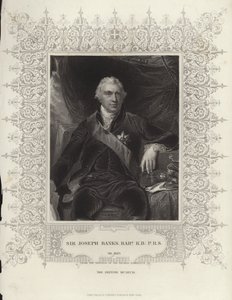 Sir Joseph Banks autorstwa Thomas Lawrence
