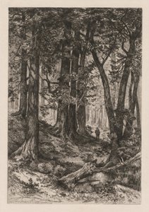 Wnętrze kalifornijskiego lasu (według Thomasa Morana (Amerykanin autorstwa Thomas Moran