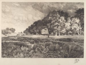 Krajobraz Long Island autorstwa Thomas Moran