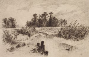 Bagienny krajobraz ze strumieniem autorstwa Thomas Moran