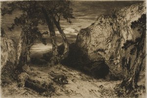 Kojot - Arizona autorstwa Thomas Moran