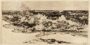Huczące morze autorstwa Thomas Moran