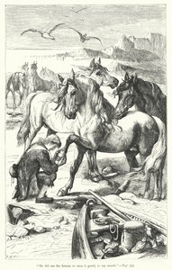 Ilustracja do Podróży Guliwera autorstwa Jonathana Swifta (rycina) autorstwa Thomas Morten