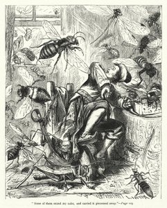Ilustracja do Podróży Guliwera autorstwa Jonathana Swifta (rycina) autorstwa Thomas Morten