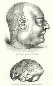 Ilustracja do życia Jonathana Swifta (rycina) autorstwa Thomas Morten