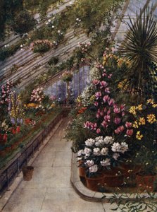 Kew Gardens: Zielony dom (kolor lito)
