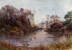 Kew Gardens: The Lake (kolor lito)