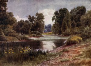 Kew Gardens: Jezioro, patrząc na południe (kolor lito)
