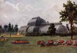Kew Gardens: Palmiarnia (kolor lito) autorstwa Thomas Mower Martin