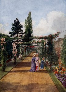 Kew Gardens: Różaniec (kolor lito)