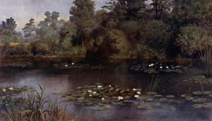 Kew Gardens: The Water Lily Pond (kolor lito) autorstwa Thomas Mower Martin