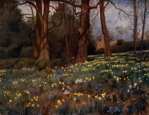Kew Gardens: Dziki ogród na wiosnę (kolor lito)