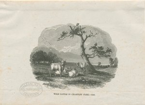 Chartley Hall - Park: drzeworyt grawerowany