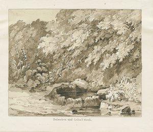 Codsall Wood - Brimstone Well: rysunek w sepii autorstwa Thomas Peploe Wood