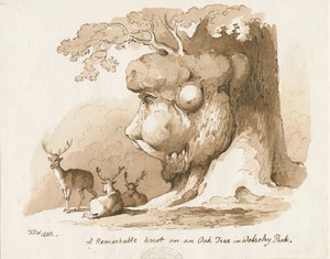 Wolseley Park - Sęk na dębie: rysunek piórkiem i sepią autorstwa Thomas Peploe Wood