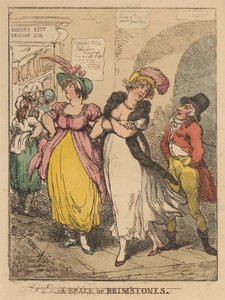 Para motyli z gatunku Brimstone autorstwa Thomas Rowlandson