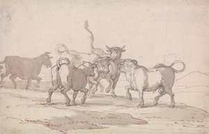 Grupa pięciu byków tuż przed walką autorstwa Thomas Rowlandson