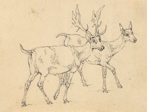 Rysunek albumu autorstwa Thomas Rowlandson