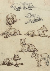 Rysunek z albumu autorstwa Thomas Rowlandson