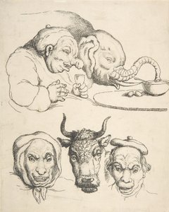 Anatomia porównawcza, 1800-25., 1800-25. autorstwa Thomas Rowlandson