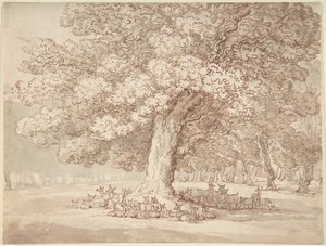 Stado jeleni pod dębem autorstwa Thomas Rowlandson