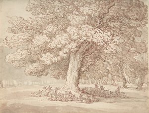 Herd of deer under an oak tree, 1775-1827.    1155927   pl       polish Successfully Translated  Original: The Virgin of the Immaculate Conception Translat: The Virgin of the Immaculate Conception 1219066 pl polish Successfully Translated Original: Portrai autorstwa Thomas Rowlandson