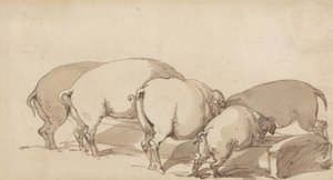 Świnie przy korycie autorstwa Thomas Rowlandson