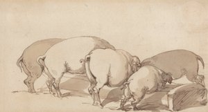 Świnie w korycie, ok. 1790 (grafit z piórem i atramentem oraz brązowe przemycie na papierze) autorstwa Thomas Rowlandson