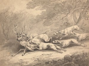 Jeleń powalony przez stado psów autorstwa Thomas Rowlandson