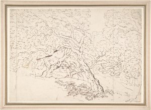 Badania nad drzewami autorstwa Thomas Rowlandson