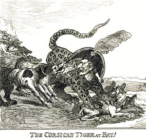 Korsykański Tygrys Korsykański (Napoleon Bonaparte), karykatura 1808 autorstwa Thomas Rowlandson