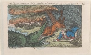 Baron przybywa na Cejlon, walczy i pokonuje dwóch niezwykłych przeciwników..., [1809], wznowione 1811. autorstwa Thomas Rowlandson