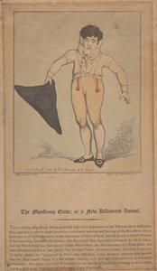 Potworny pełzacz, czyli nowo odkryte zwierzę autorstwa Thomas Rowlandson