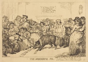 Cudowna świnka autorstwa Thomas Rowlandson