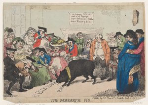 Cudowna świnia, 12.04.1785., 12.04.1785.