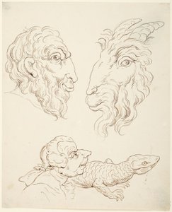 Dwie karykatury: człowiek i koza, człowiek i jaszczurka autorstwa Thomas Rowlandson