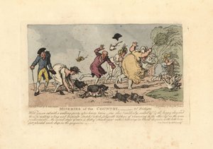 Kobieta, która ma się przewrócić w butach w błocie. autorstwa Thomas Rowlandson